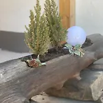 Natururlaub Muggenbrunn *