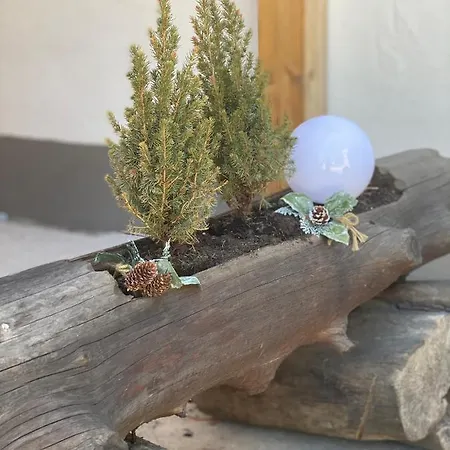 Natururlaub Muggenbrunn *